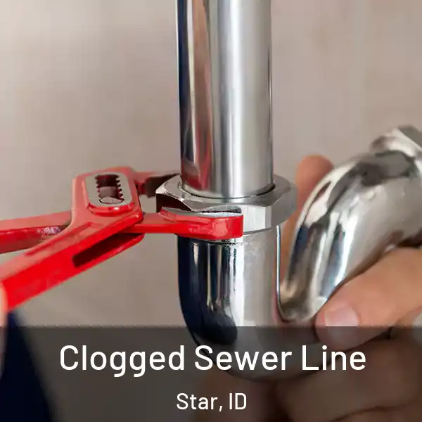  Clogged Sewer Line Star, ID