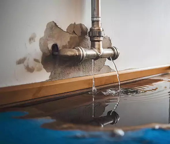Professional Water Damage Restoration Experts in Star, ID — Fast, Reliable & Certified