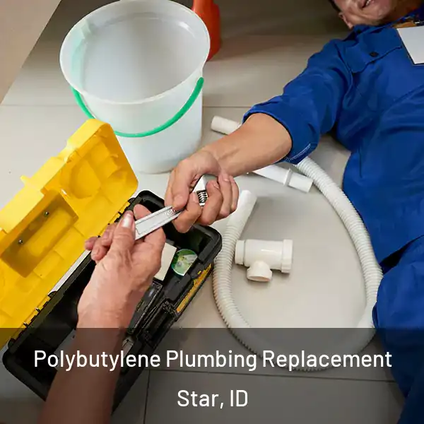  Polybutylene Plumbing Replacement Star, ID