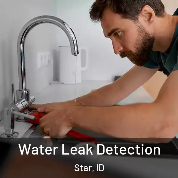  Water Leak Detection Star, ID
